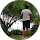 avis