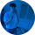 avis