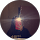 avis