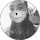 avis