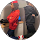 avis