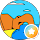 avis