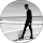 avis