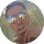 avis