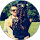avis