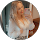 avis