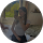avis